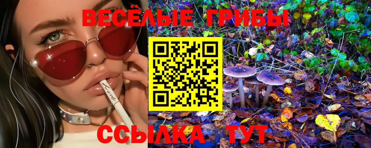Галлюциногенные грибы мицелий Химки