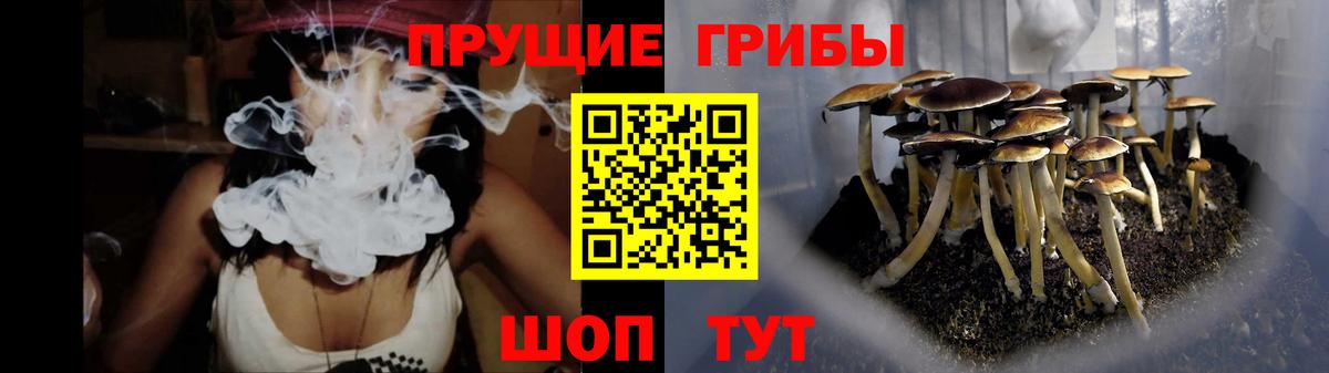 Галлюциногенные грибы мухоморы  купить наркотики цена  Химки  Вход с VPN 